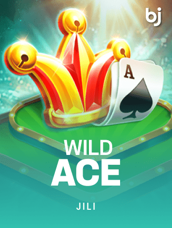 ওয়াইল্ড এস game icon